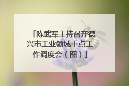 陈武军主持召开德兴市工业领域重点工作调度会（图）
